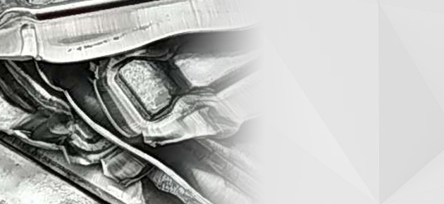 樱花草在线播放